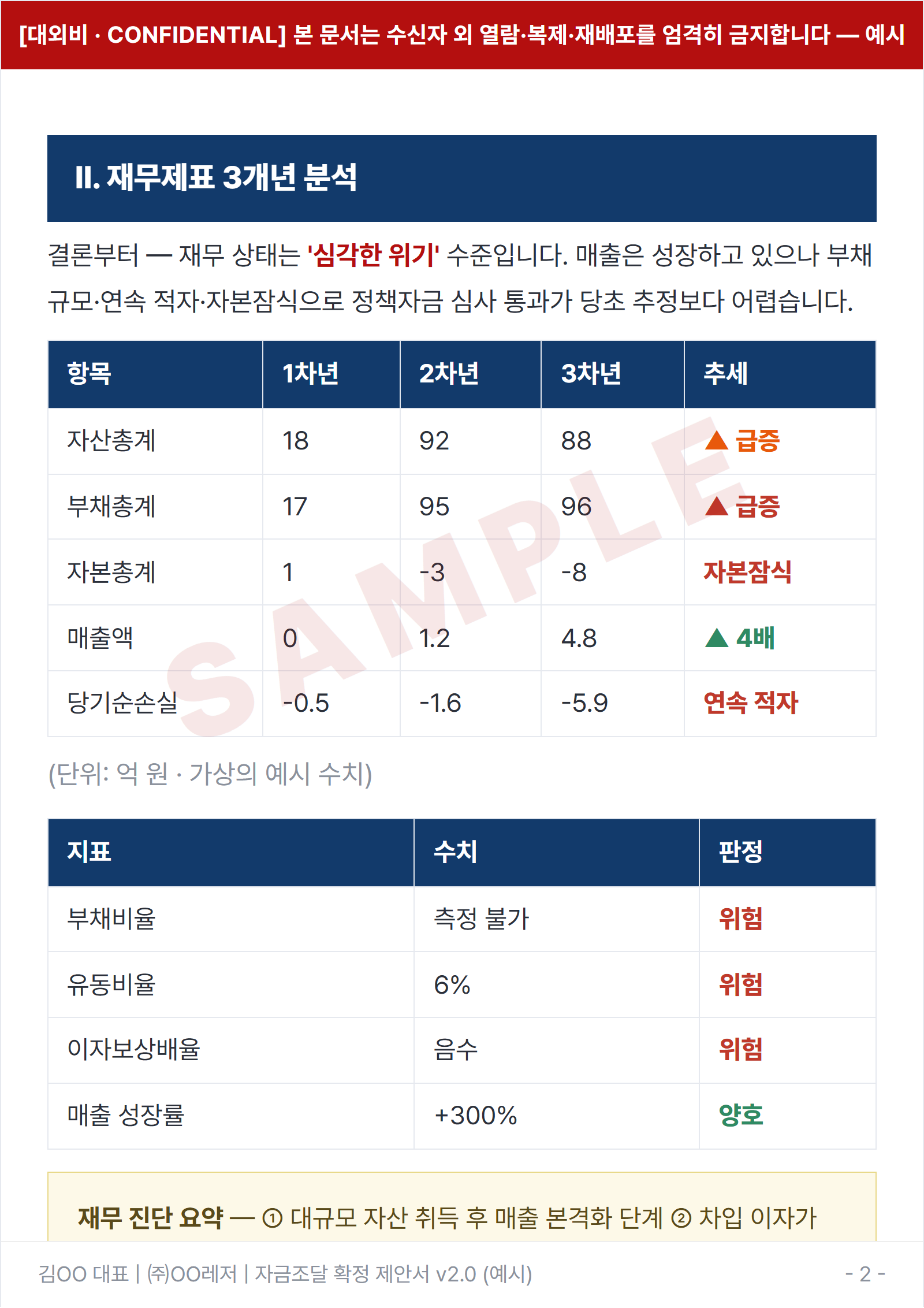 재무 분석 예시 페이지